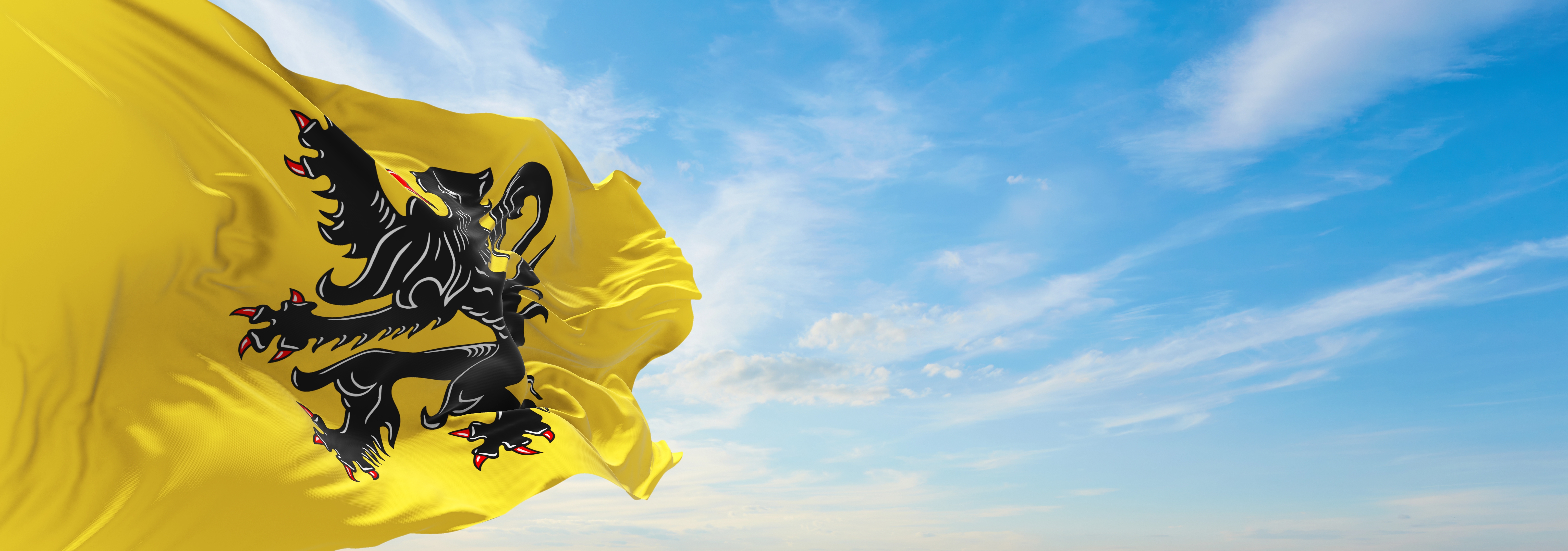 Lokale verenigingen vlaanderen