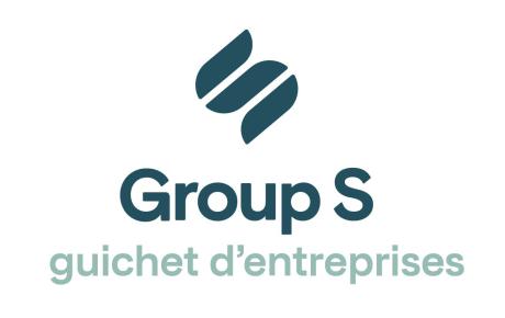 Logo Group S FR